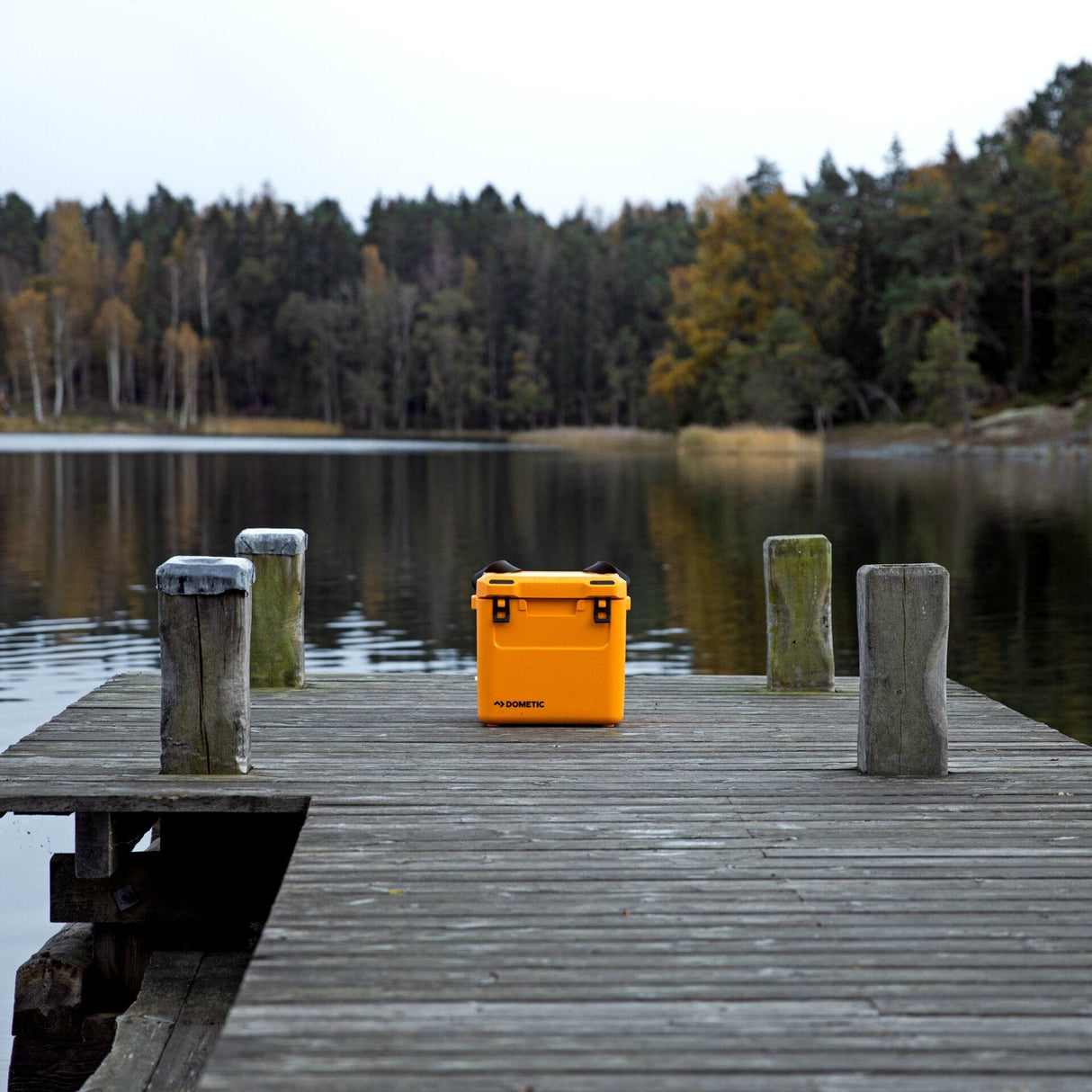 Dometic CI 28 Ice Cooler Box - Glow