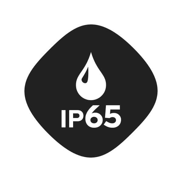 Silva Discover Black Headlamp