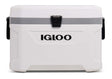 White Igloo cooler box on a white background