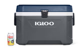 Igloo Maxcold Latitude 54QT Cooler Box - Grey
